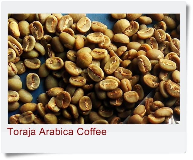 Toraja Arabica Coffee